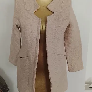 پالتو