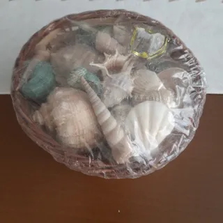 سبد صدف و گوش ماهی