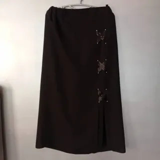 دامن مجلسی