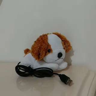 وب کم