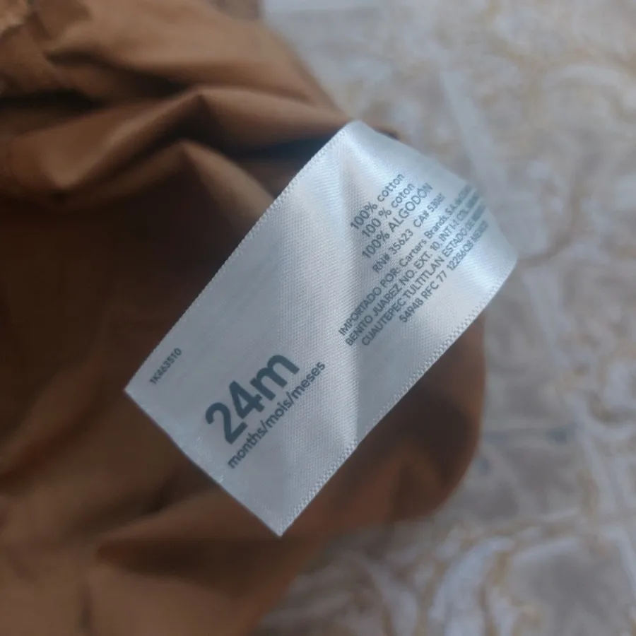 بیلر دایناسور