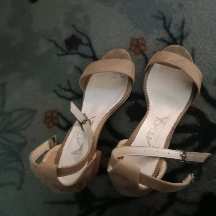 کفش مجلسی