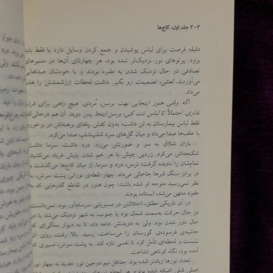 مجموعه کتاب ویوارد پاینز