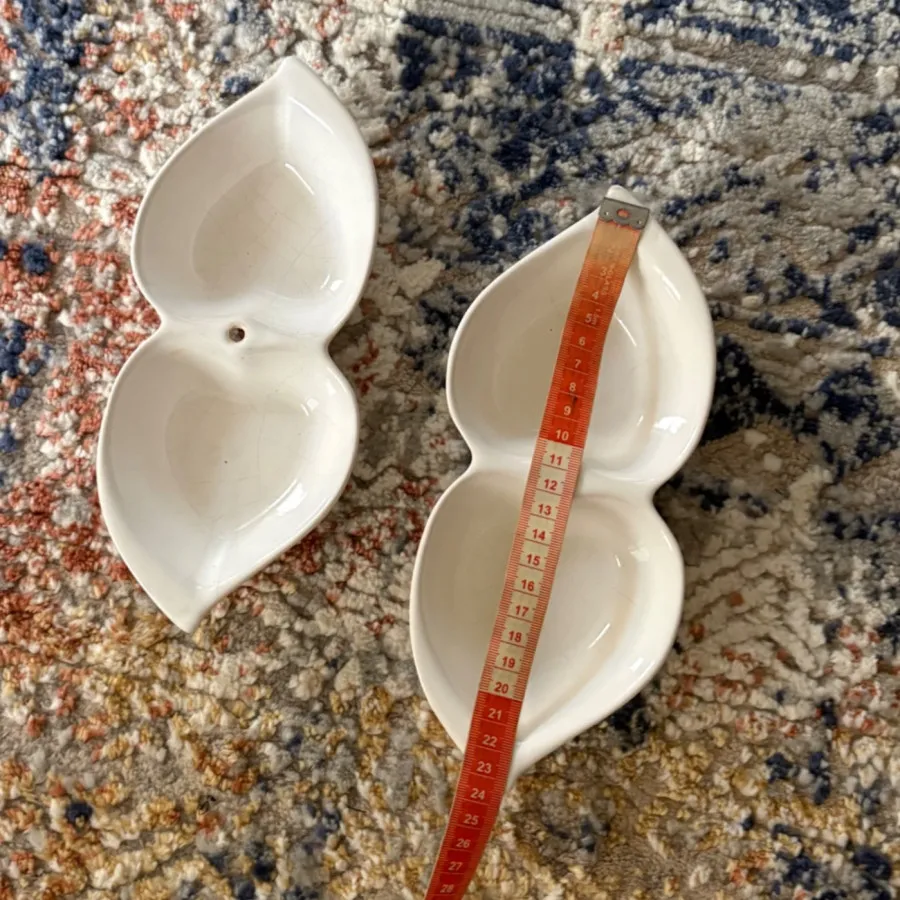 ظرف پذیرایی اردورخوری