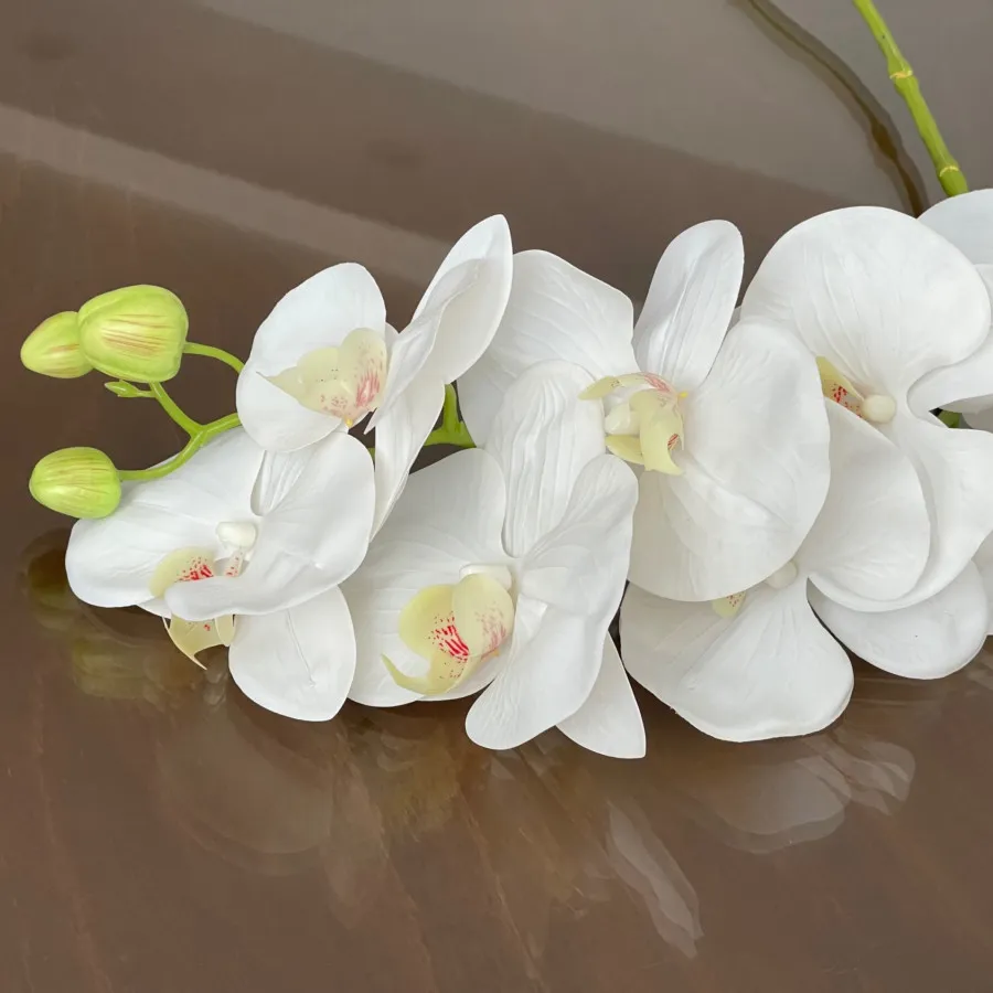 گل ارکیده وارداتی