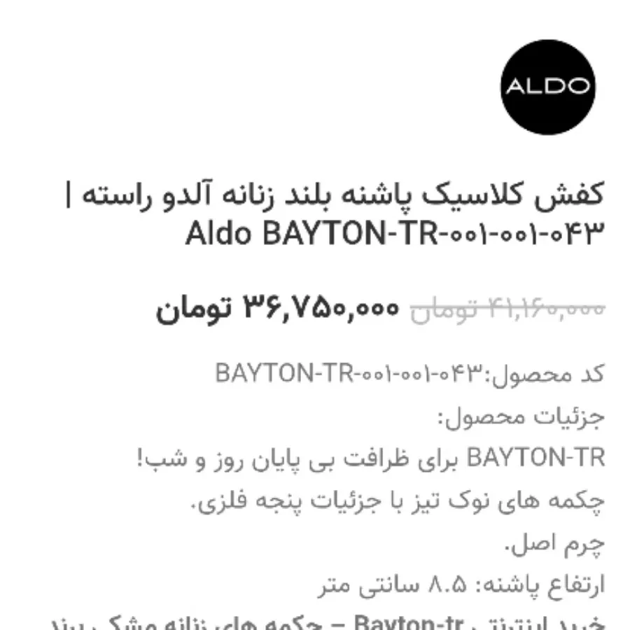 کفش مجلسی ALDO
