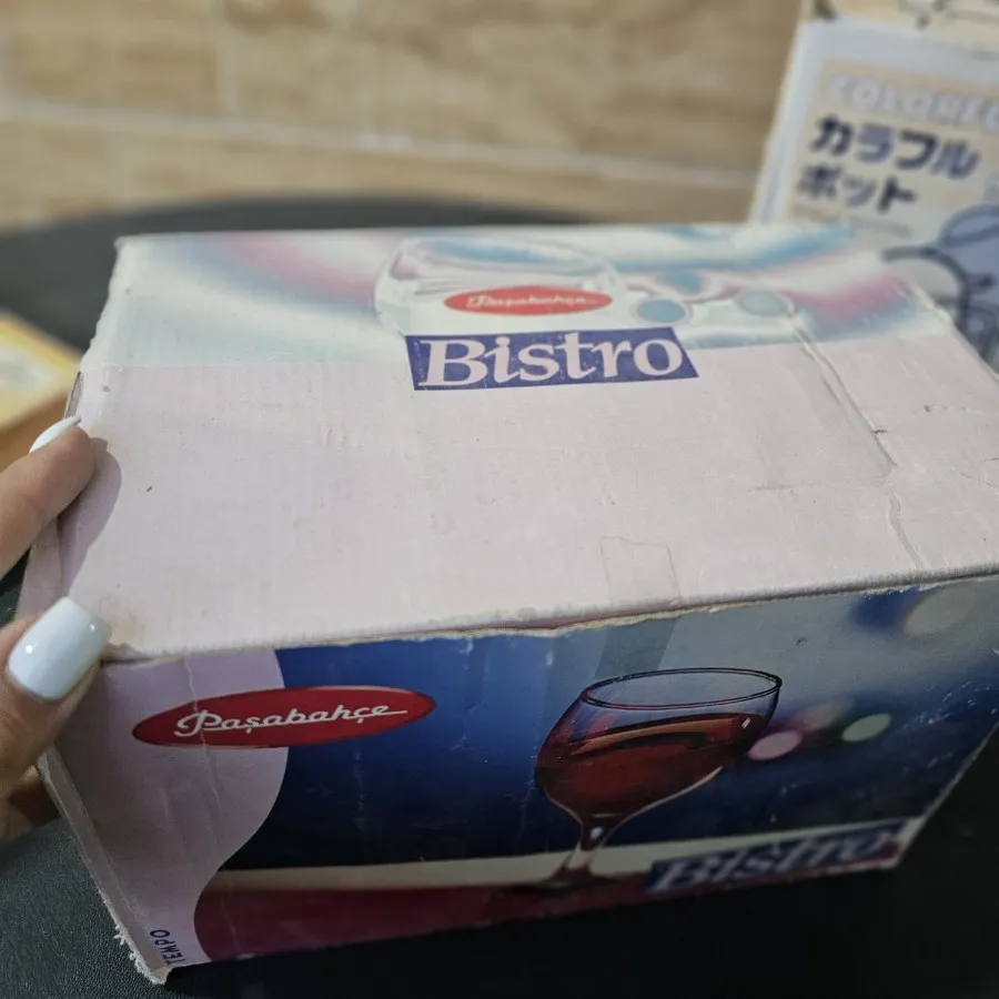 لیوان پاشاباغچه ترک