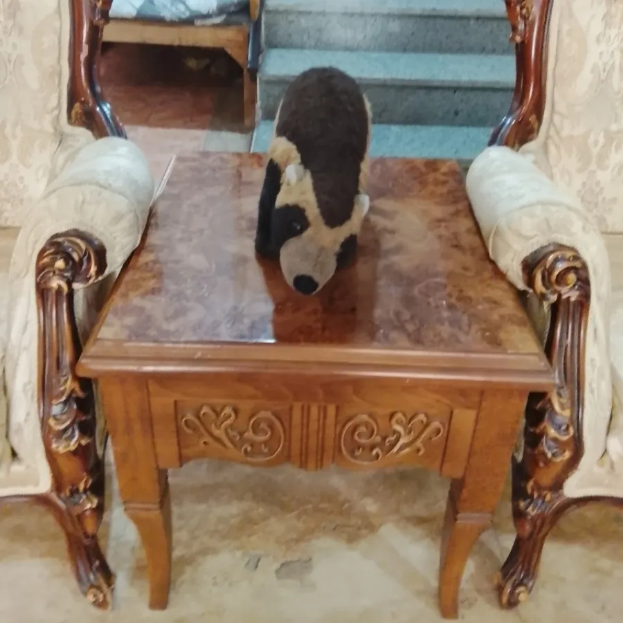 عروسک راسو
