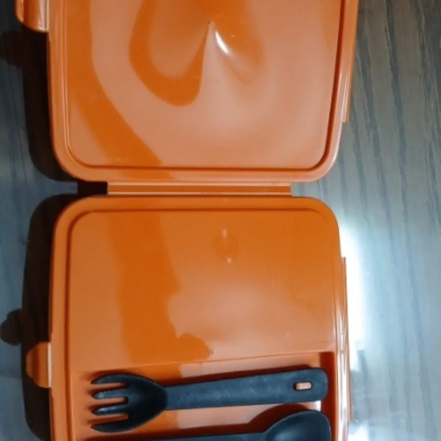 ظرف غذا   بانچ باکس