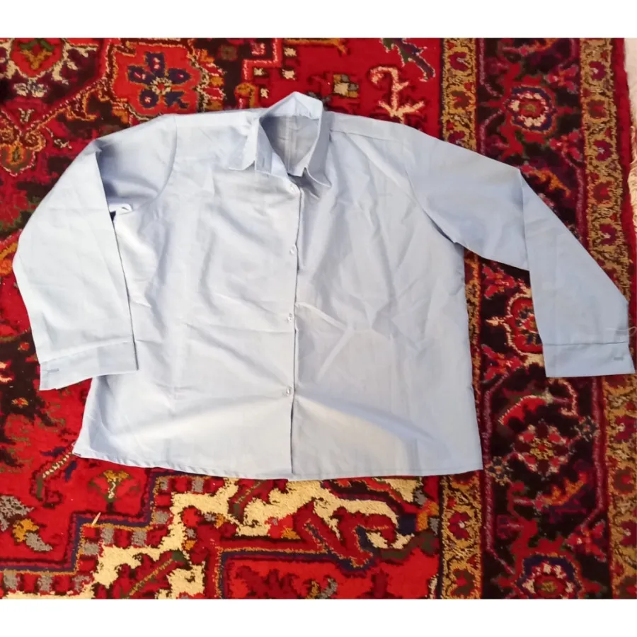 شومیز کوتاه دیپلمات
