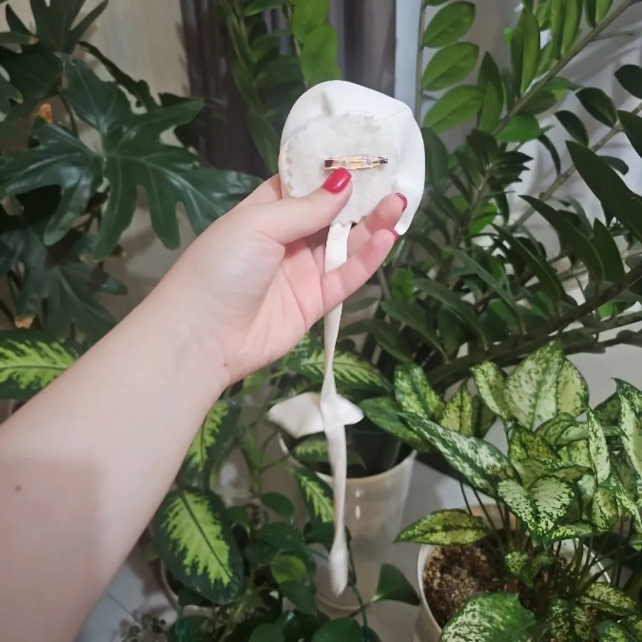 گل سینه