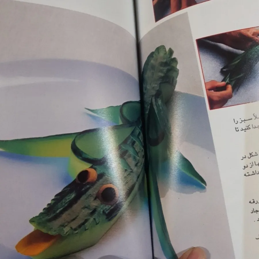 کتاب سبزی ارایی