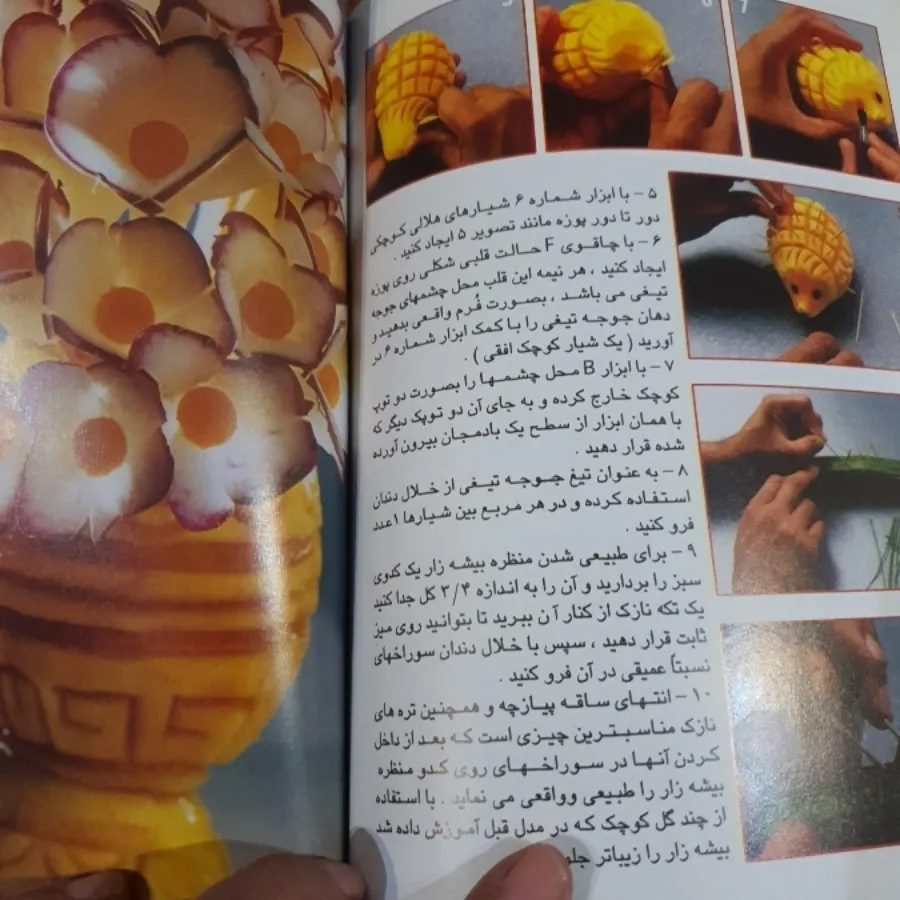 کتاب سبزی ارایی