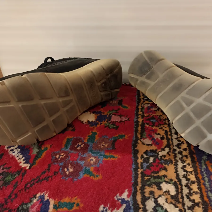 کفش اکو اصل