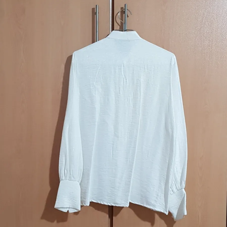 شومیز صدفی شاین دار