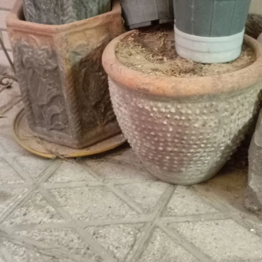 گلدان گلی سایز بزرگ