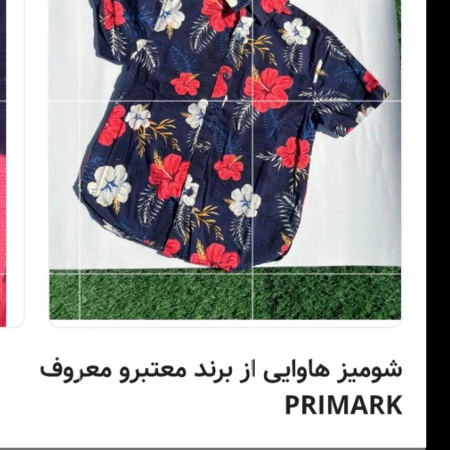 شونیز هاواییی