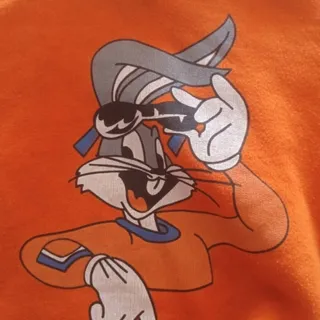 هودی و دورس