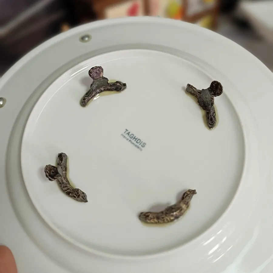 شیرینی خوری و شکلات خوری