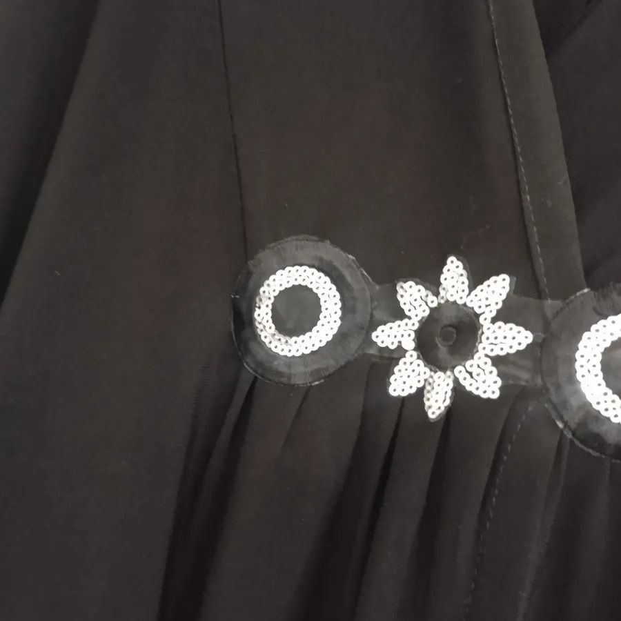 پانچ ریون