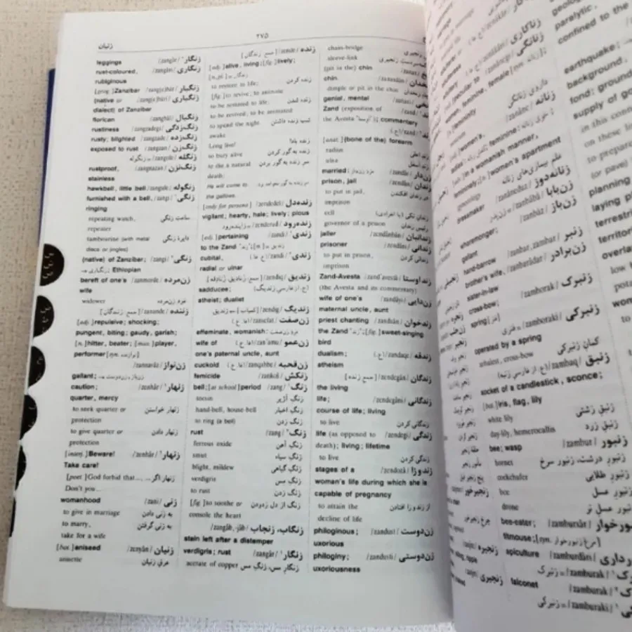 کتاب فرهنگ معاصر دوسویه