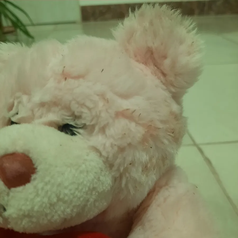 عروسک خرس مهربون