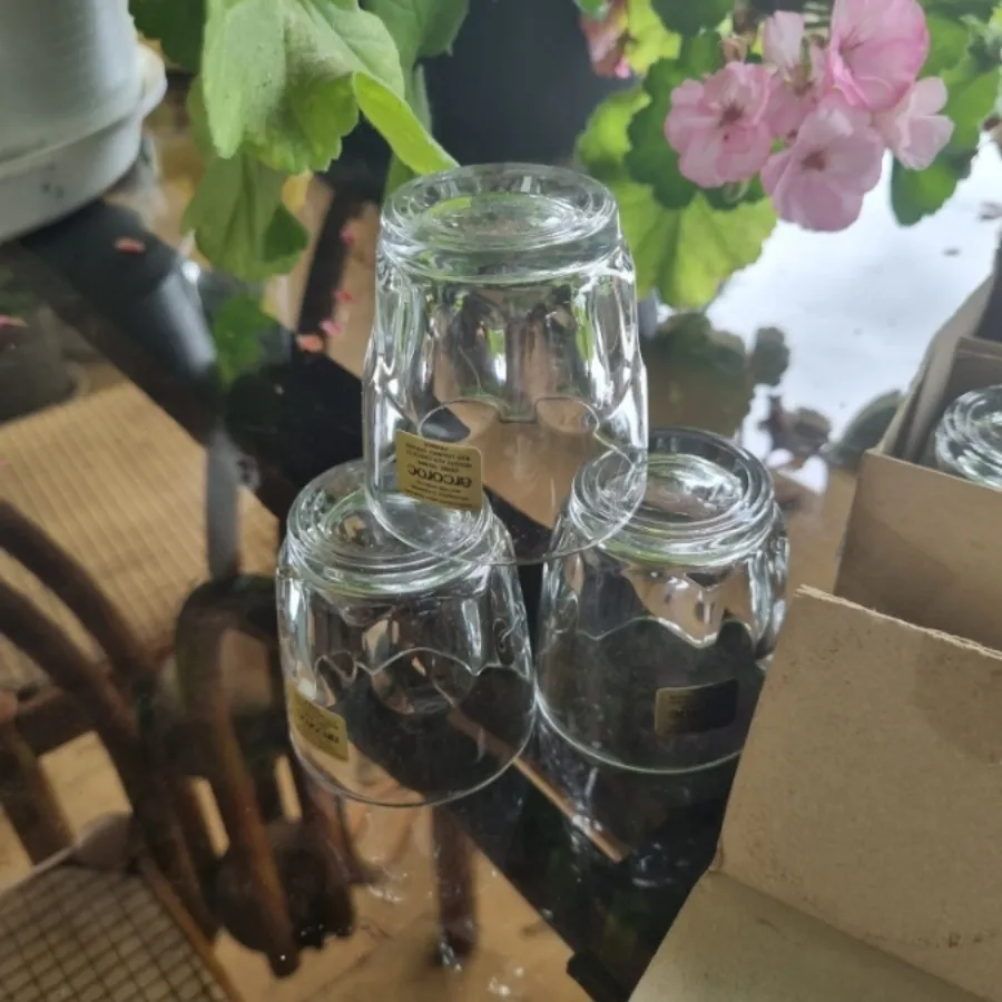 قهوه خوری انگشتی فرانسه