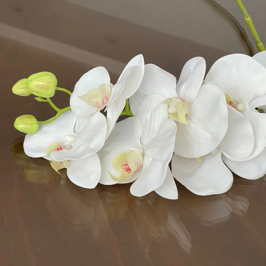 گل ارکیده وارداتی