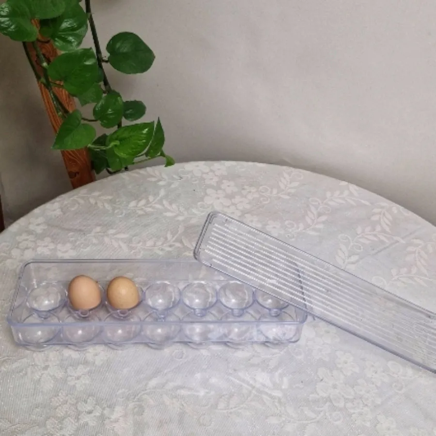 جای تخم مرغ