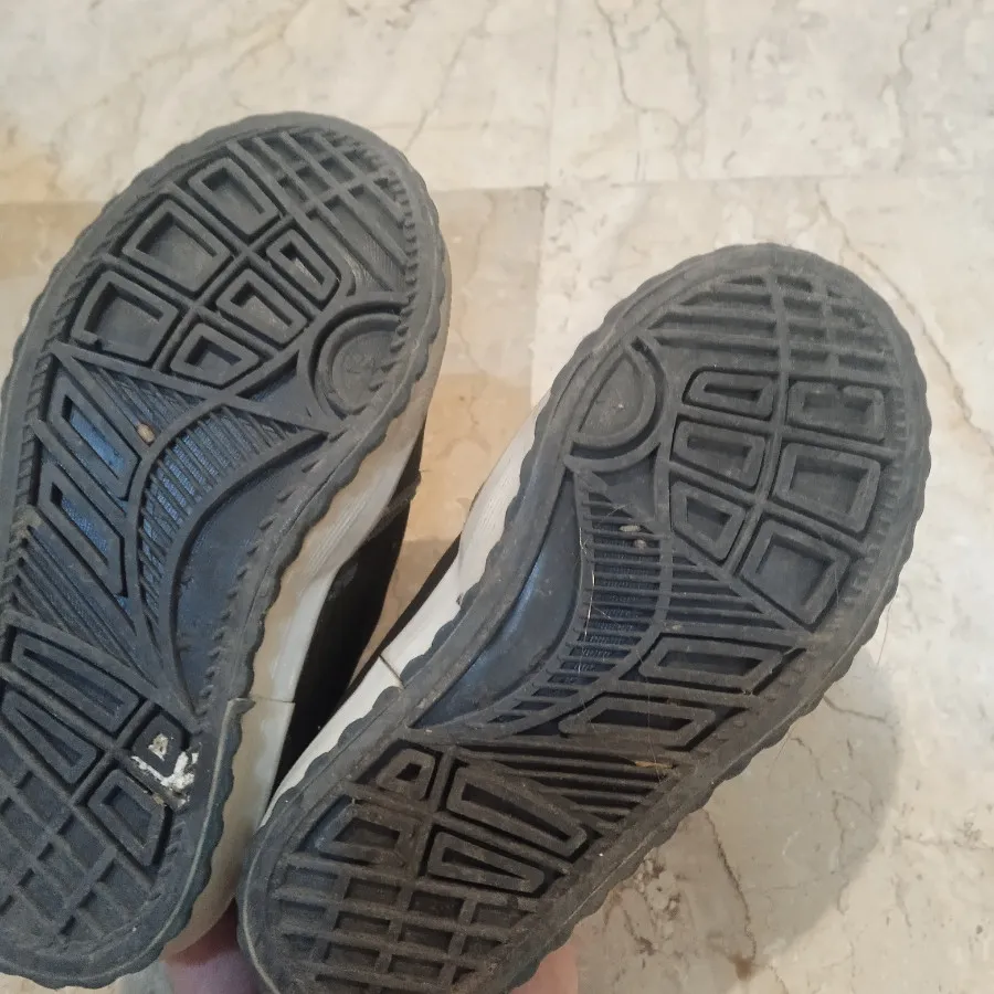کفش اسپرت