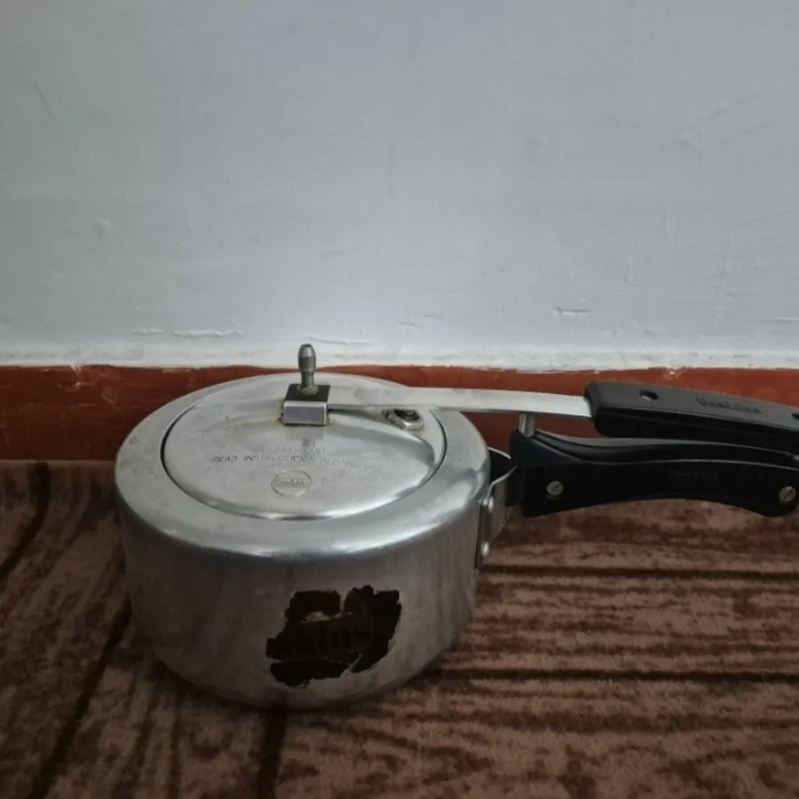 مینی زودپز