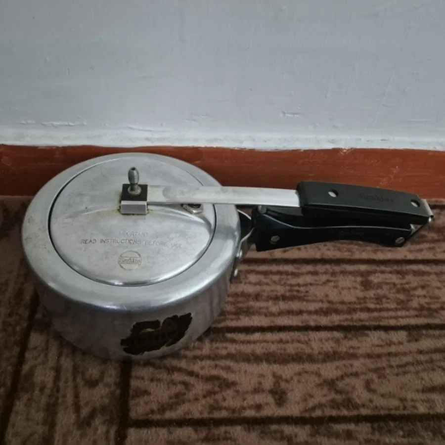 مینی زودپز
