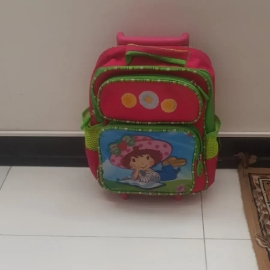 کیف چرخ دار نو