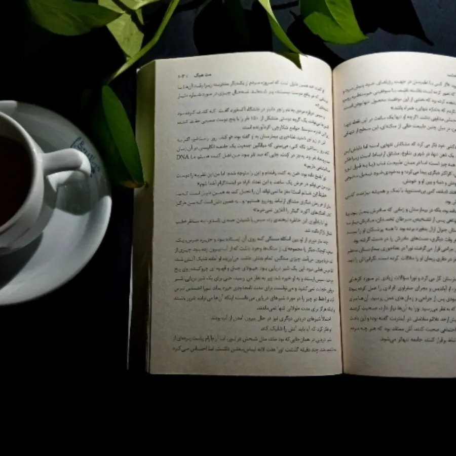 کتاب : کتابخانه نیمه شب