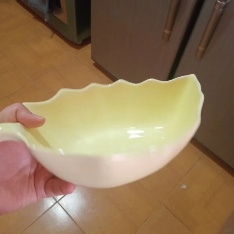 ظرف اجیل و سالادخوری