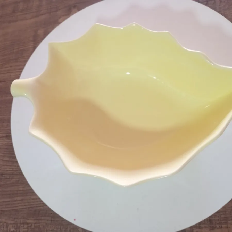 ظرف اجیل و سالادخوری