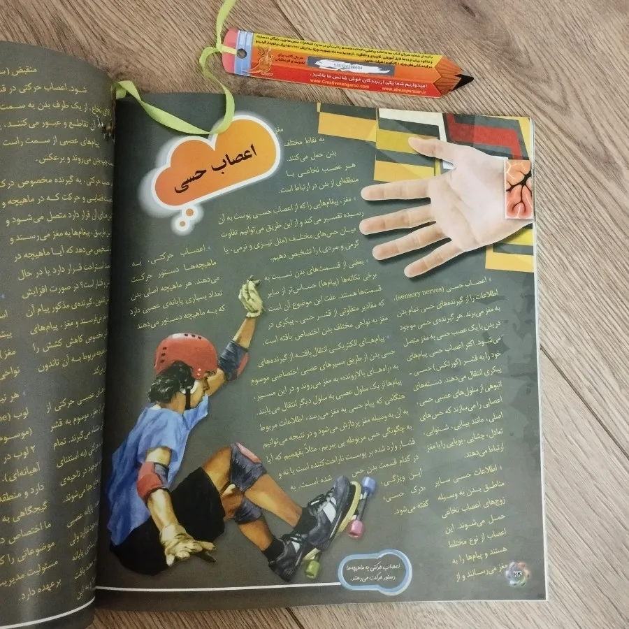 مجموعه کتابهای بدن انسان
