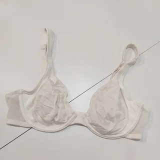 نیم تنه