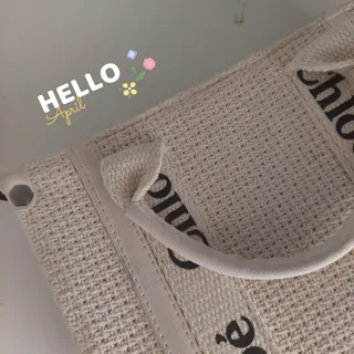 کیف فانتزی Chloe