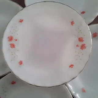آرکوپال