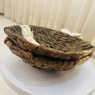 سبد