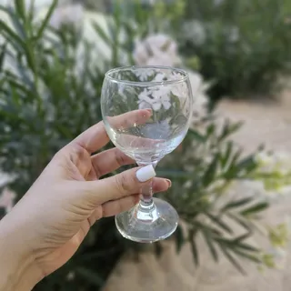 لیوان پاشاباغچه ترک