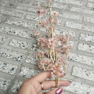 گل شکوفه ای