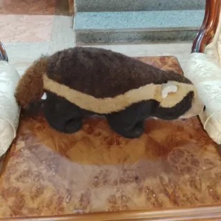 عروسک راسو