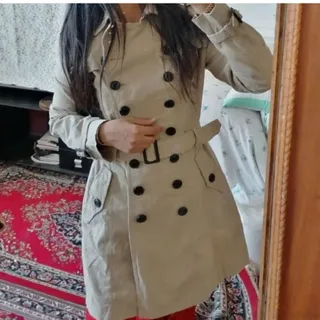 پالتو