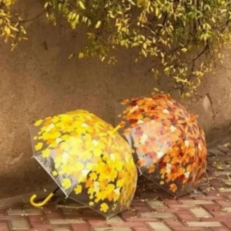 چتر برگ پاییزی