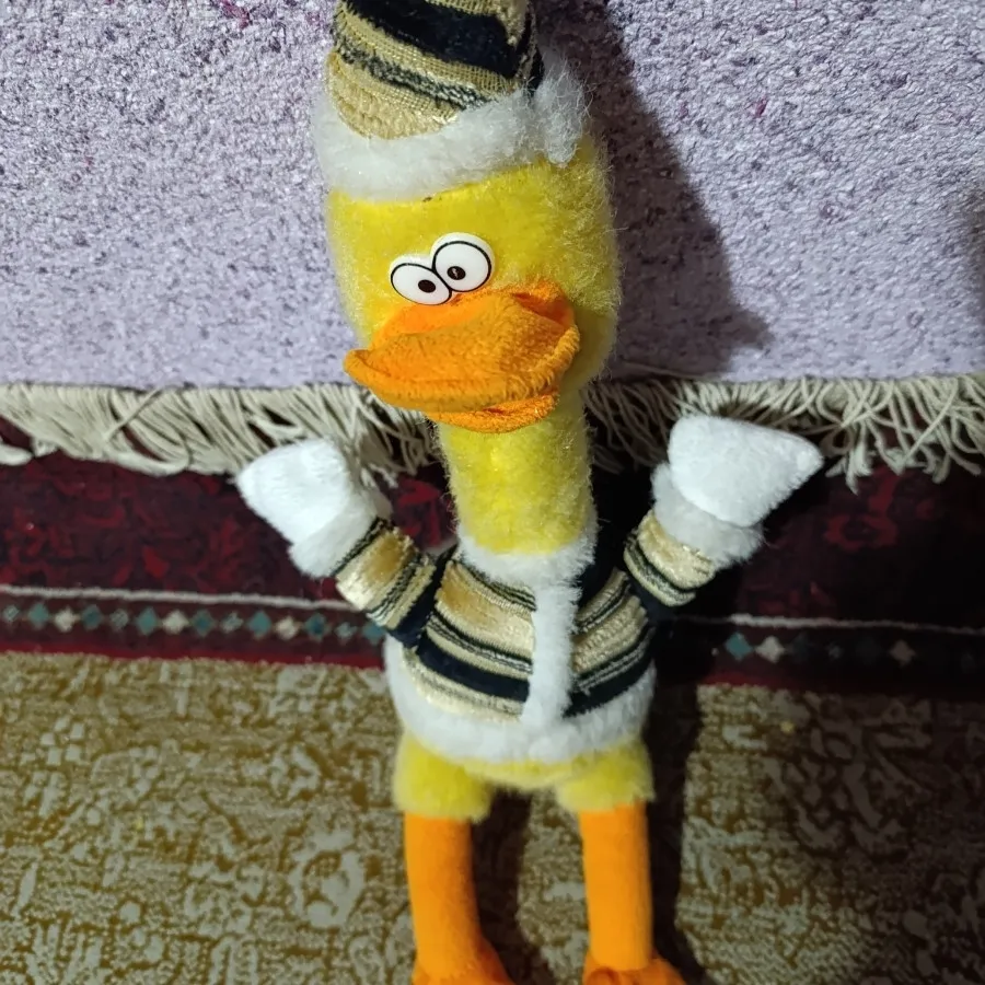 اردک بازیگوش