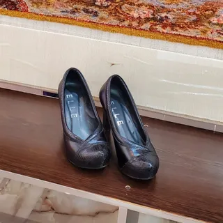کفش مجلسی