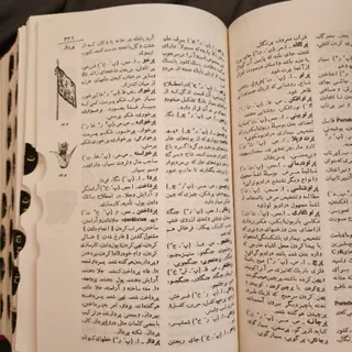 لغتنامه عمید