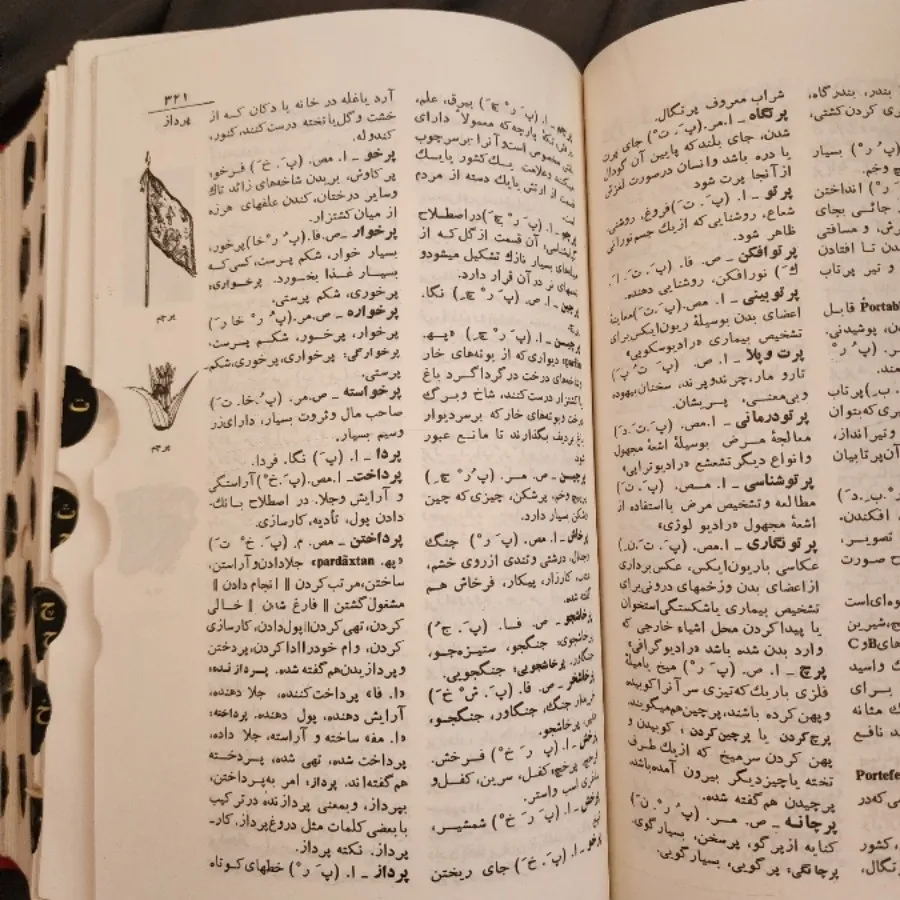 لغتنامه عمید